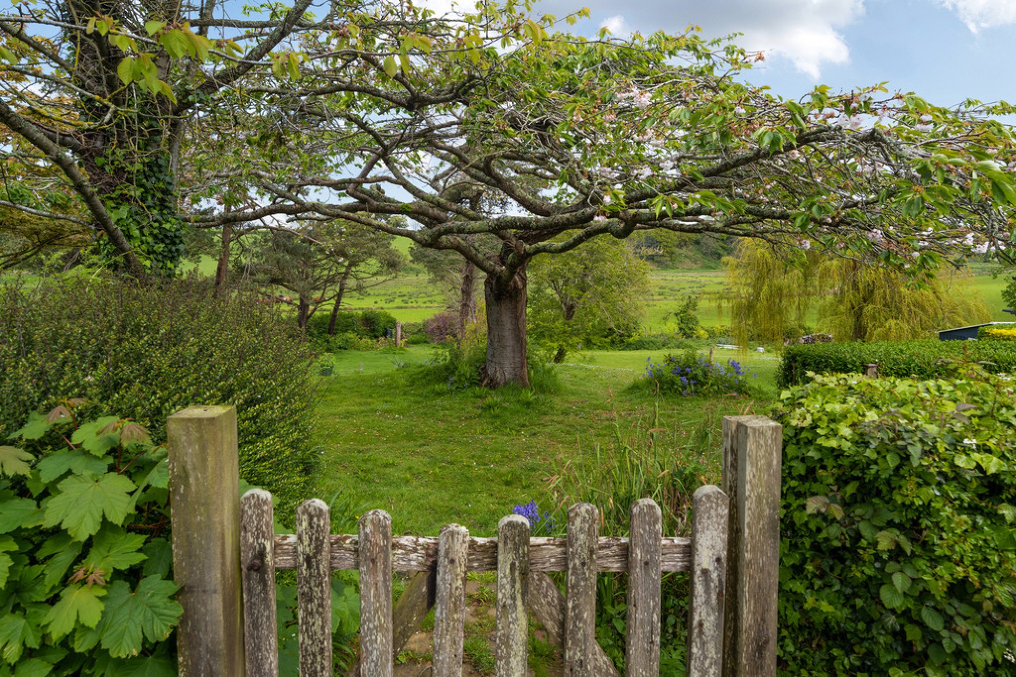 Images for Toot Rock, Pett Level, East Sussex TN35 4EN